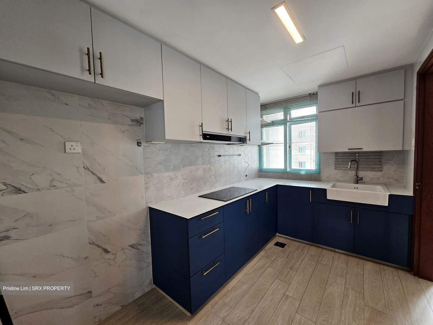 Ballota Park Condominium (D17), Condominium #628881241